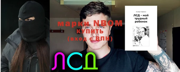 мет Алексин