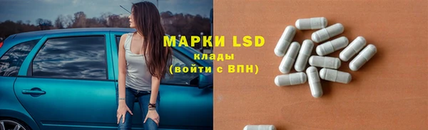 мет Алексин
