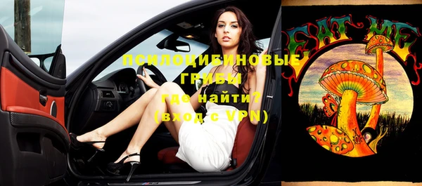 круглые Алзамай