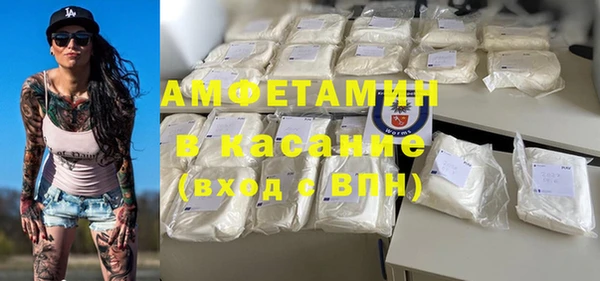 мет Алексин