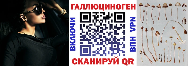 как найти наркотики  Аткарск  Псилоцибиновые грибы Psilocybine cubensis 